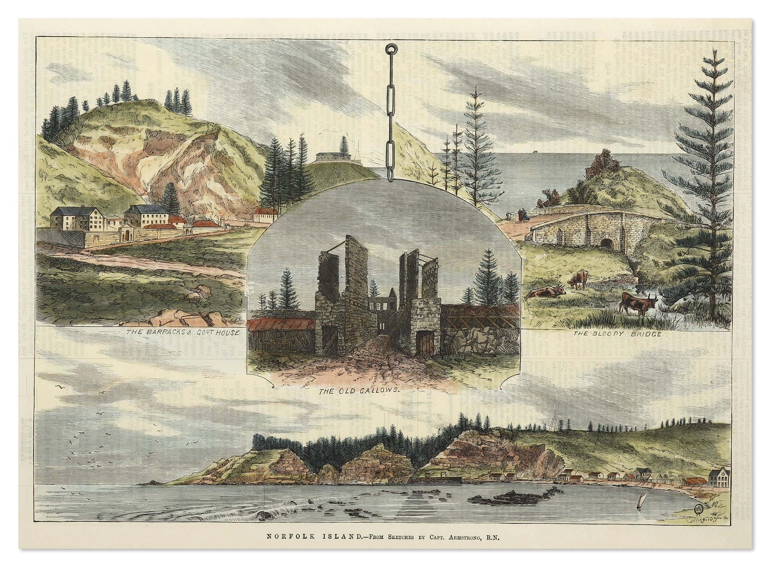 Norfolk Island. - Antique Print from 1878