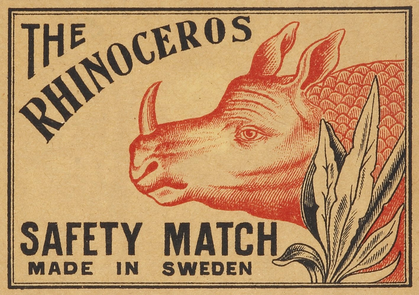 The Rhinoceros - Antique Print from 1900