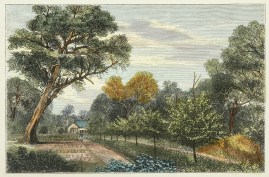 Botanical Garden - Medicinal Plants Plantation and Keeper's Cottage.