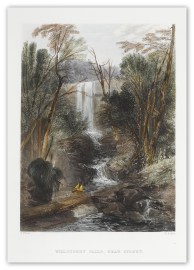 Willoughby Falls, Near Sydney. NSW - Sydney