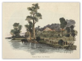 Hamilton Reach, near Brisbane. Queensland