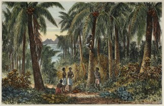 Polynesian Sketches-A Cocoanut Grove, Fi… PACIFIC