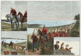 Last Saturday's volunteer movements at Double Bay.