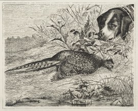 “Dead, Ponto, Dead!” Dogs