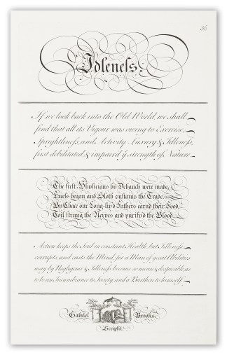 Idleness Calligraphy - Bickham's Penman