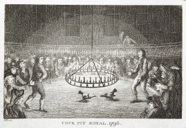 Cock Pit Royal. 1796.