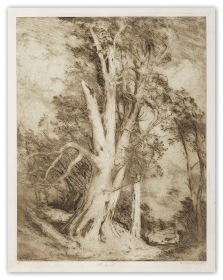 The Gust Australian Printmakers