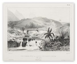 Vue Prise sur la Route de Port-Louis  (Ile de France.) [Mauritius]