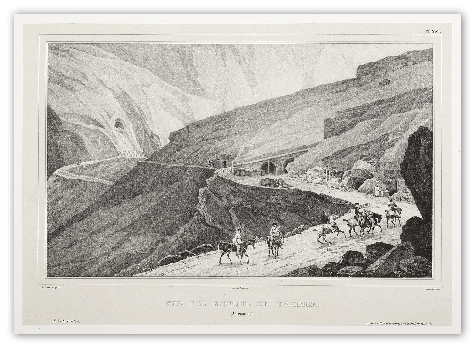 Vue des Sources de Dampier. (Ascension.) - Antique View from 1833