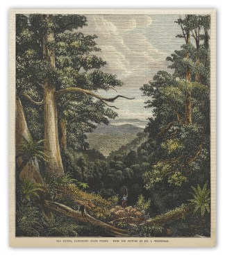 The Sisters,  Dandenong State Forest. Regional