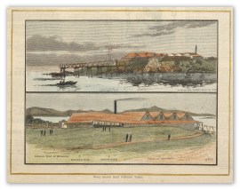 Poole Island Meat Freezing Works. Queensland