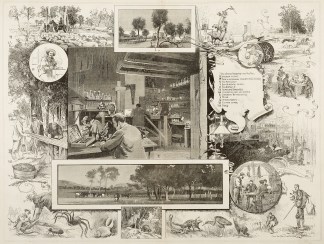 Diseases of Stock-How they are being Inv… Australiana (General)