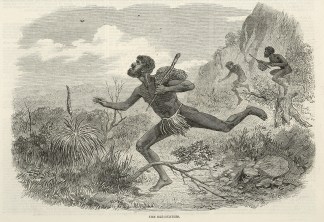 The Bee-Hunters. First Nations History