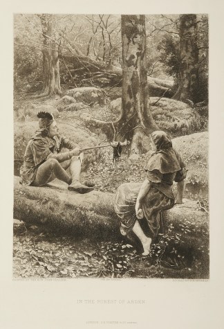 In the Forest of Arden. Carnivals