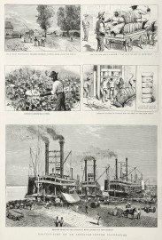 Harvest-Time on an American Cotton Plantation.