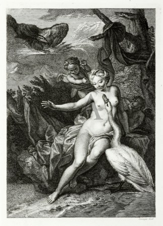 Led and the Swan Mythology