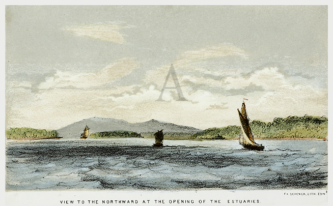 View to the Northward at the Opening of the Estuaries. - Antique Print from 1845