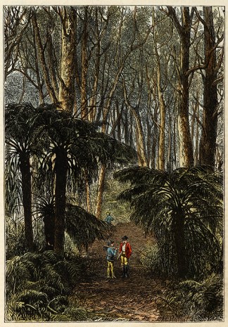 Mount Wilson-Cleared Track on Summit. Regional