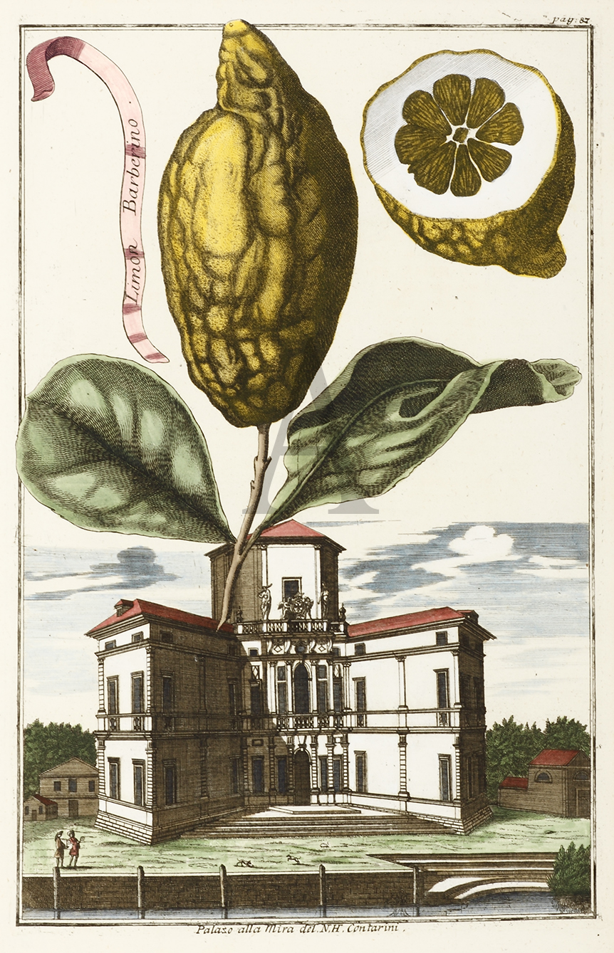 Palaso alla Mira del N.H.Contarini - Antique Print from 1708