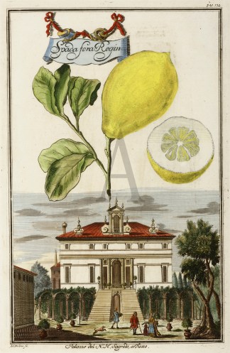 Spada Fora Regina. Palazzo del N.H.Sagre… Fruits, Herbs, Medicinal, Spices, Vegetables