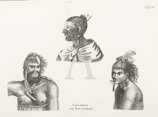 Einwohner von Neu-Seeland. Maori