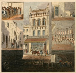 Sydney Meat Supply Mr Penny’s New … Sydney