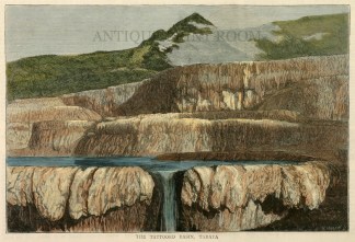 The Tattooed Basin, Tarata. North Island