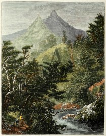 Moonlight Gorge, Wakatipu, N.Z.