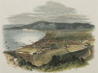 Wellington. – Te Aro Flat. North Island