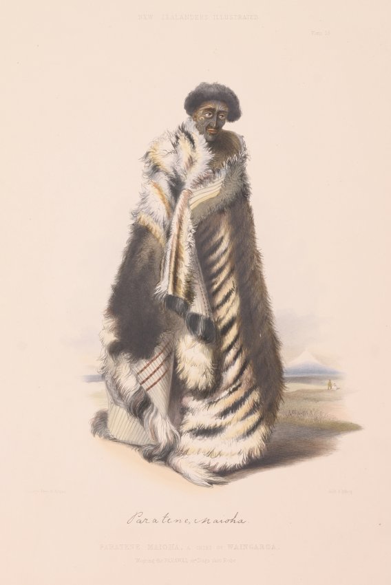 Paratene Maioha,  a Chief of Waingaroa. Wearing the Parawai, or Dogs skin Robe. - Antique Print from 1847
