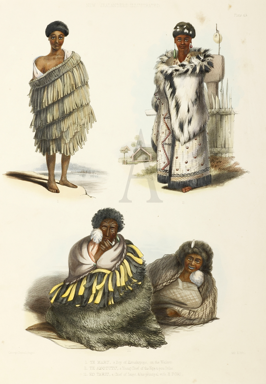 I. Te Maru, a Boy of Koruakopopo, on the Waikato. II. Te Amotutu, a Young Chief of the Nga-ti-pou Tribe. III. Ko Tariu, a Chief of Taupo, & his Principal wife, E Pori. - Antique Print from 1847