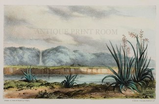 View from the Banks of the Thames of the… NEW ZEALAND