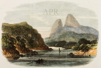 Bay in the Island of Kawau. North Island