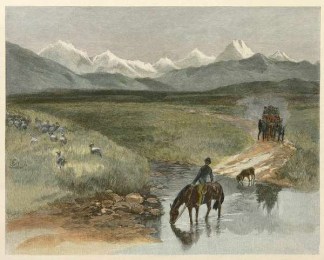 Mackenzie Plains South Island