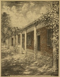 Albion Street Surry Hills NSW NSW - Sydney