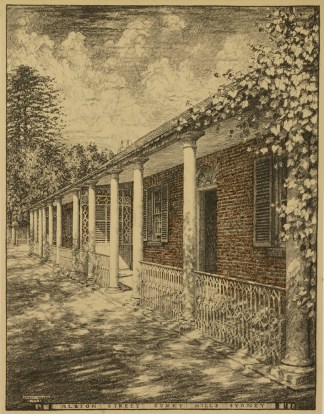 Albion Street Surry Hills NSW Sydney Albion Street Surry Hills NSW Sydney