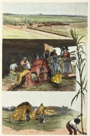 Sugar Industry Near Mackay.