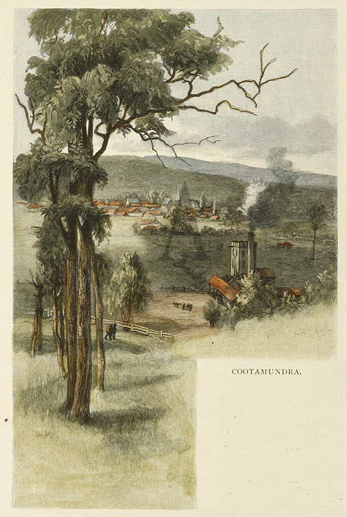 Cootamundra - Antique Print from 1886