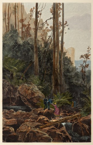 A Gully in the Blue Mountains. Regional