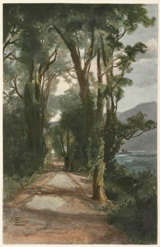 Road on the Teremakau NEW ZEALAND