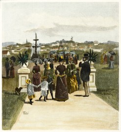 The Albert Park and Old Windmill.