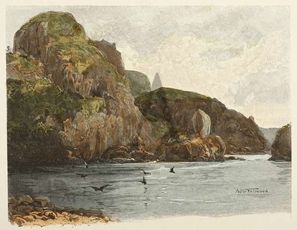 Wellington Head. - Antique View from 1875