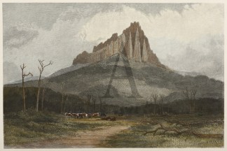 Butts of Ben Lomond AUSTRALIA