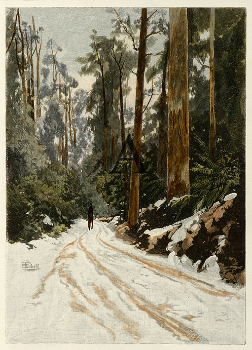 The Huon Road in Winter. - Antique Print from 1886