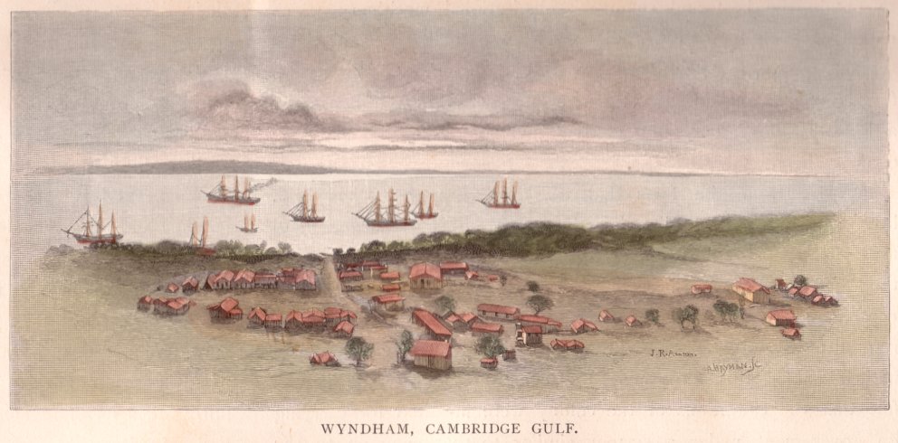 Wyndham Cambridge Gulf. - Antique Print from 1886