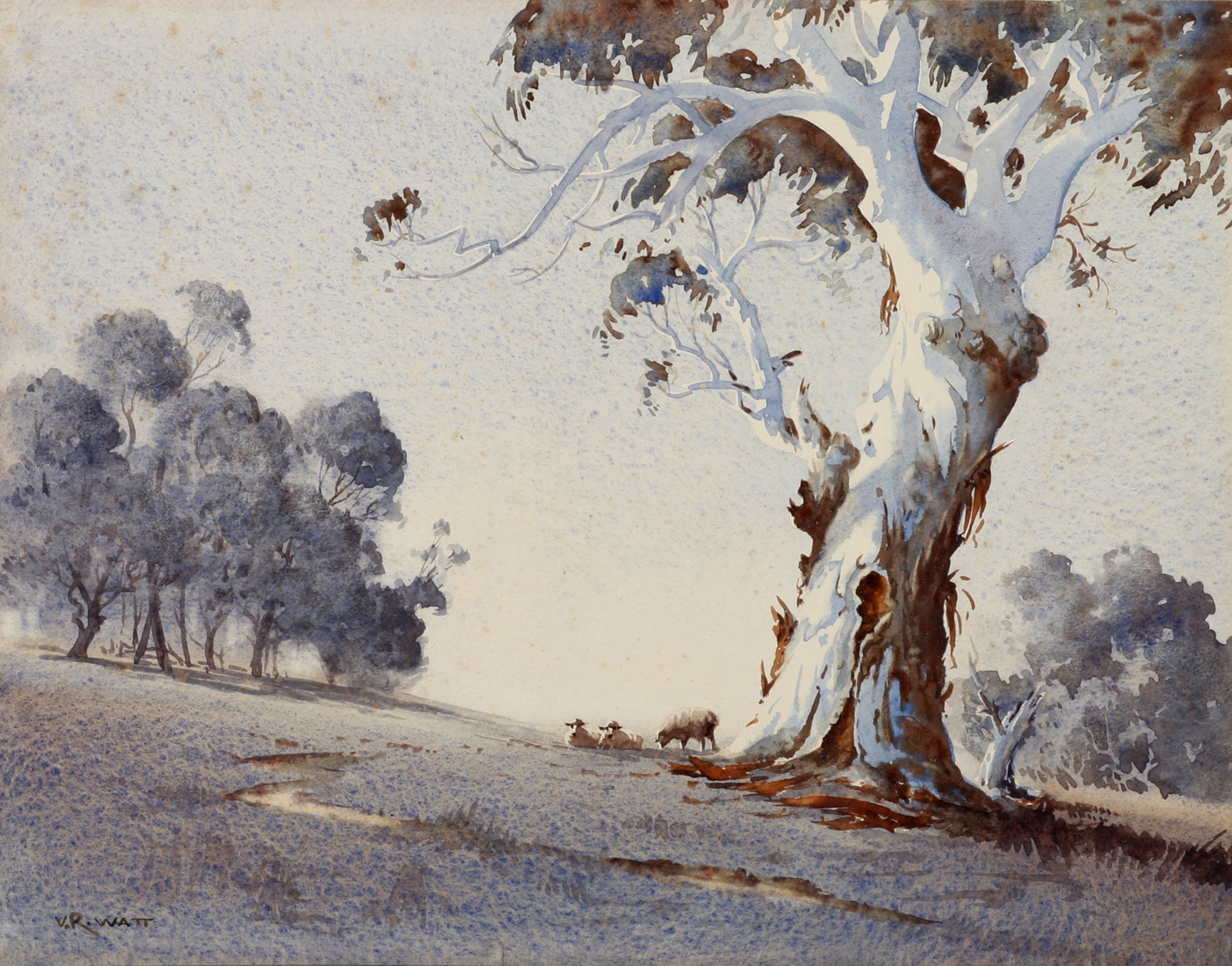 White Ghost Gum and Sheep. - Vintage Painting from 1935
