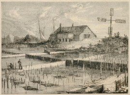 Oyster Culture at South Hayling, The Salterns