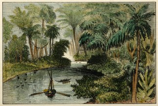 Tamavua River, Viti Levu, Fiji. PACIFIC