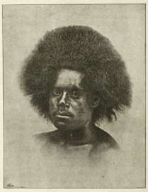 Head of a Fijian (male)