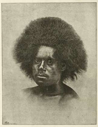 Head of a Fijian (male) PACIFIC